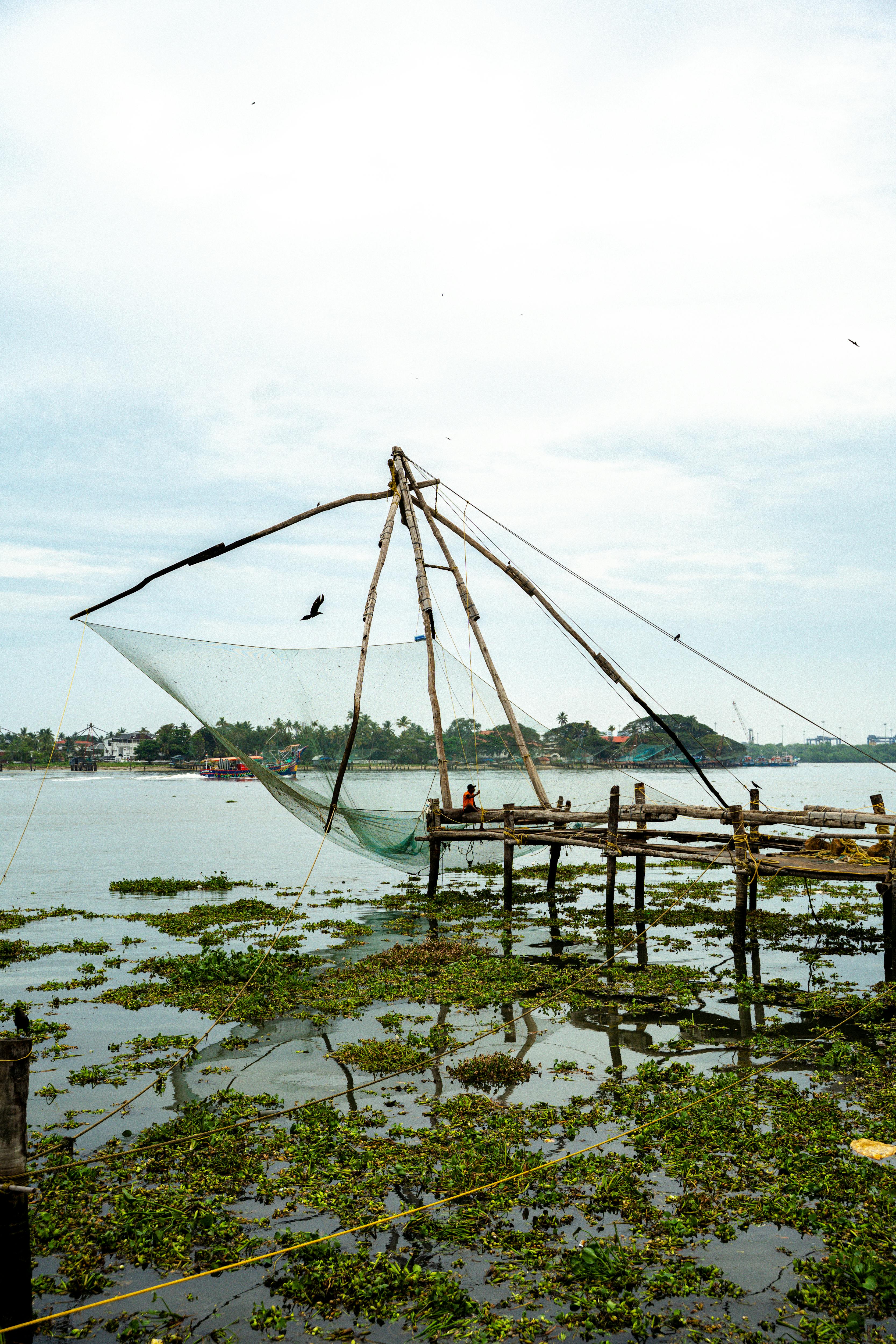 Kochi